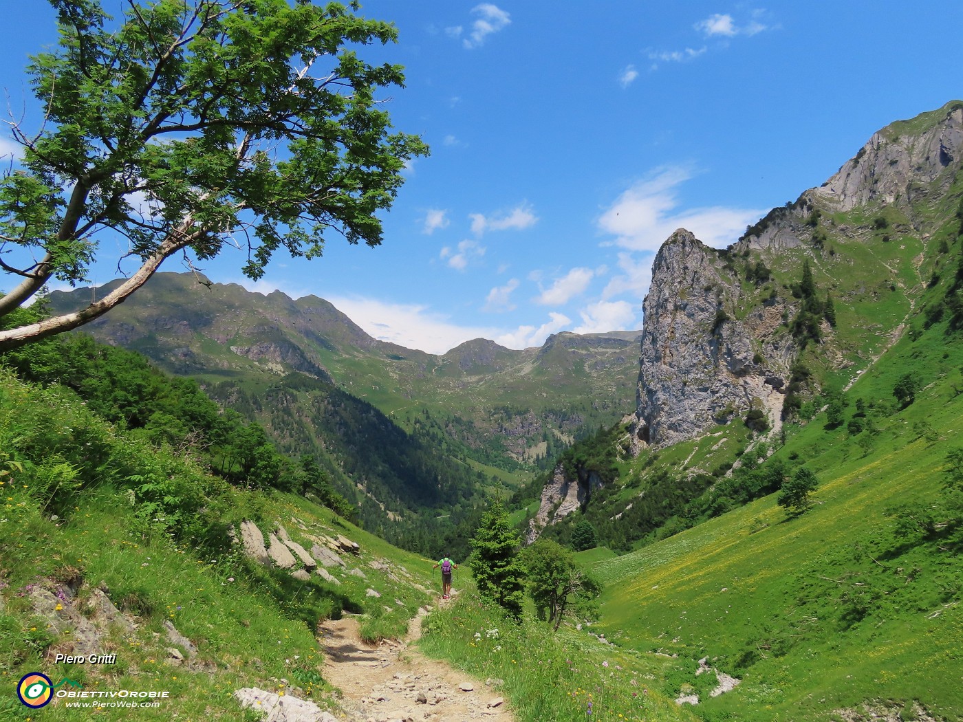 71 Il sent. 219 in discesa con bella vista sul Torrione del Corno Branchino.JPG